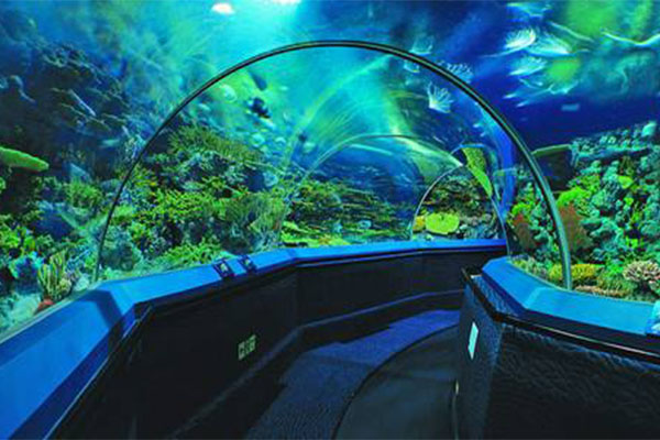 中国最大的海洋馆排名top7 长隆海洋王国上榜(获五大记录)