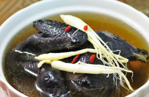 喝什么汤补肾好 男人喝12款补肾壮阳汤