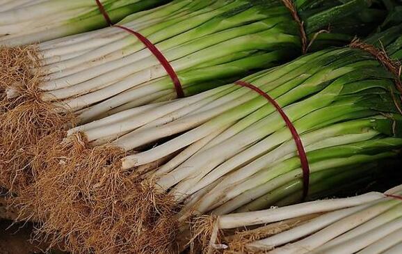 十大补肾的青菜排名 补肾蔬菜有哪些