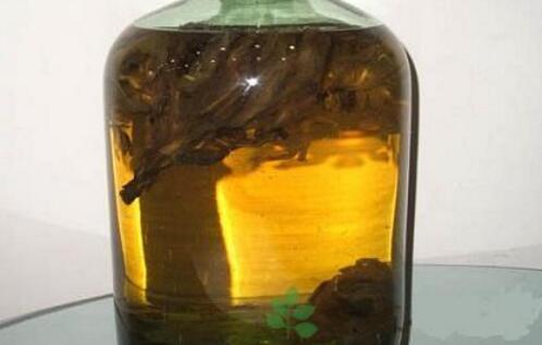 十大补肾壮阳酒排名 吓跑女人壮阳药酒都在这