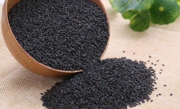 护肾三大宝食物 黑芝麻/海参/菟丝子