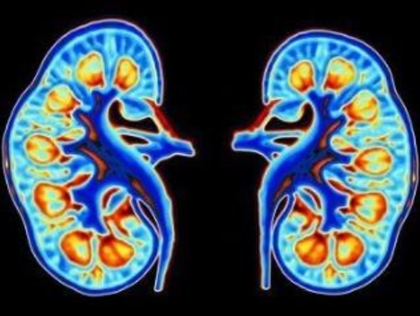 肾脏病学最好的医院top100