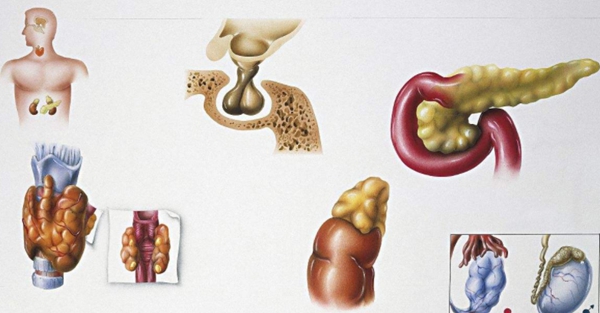 盘点全国内分泌最好的医院排名