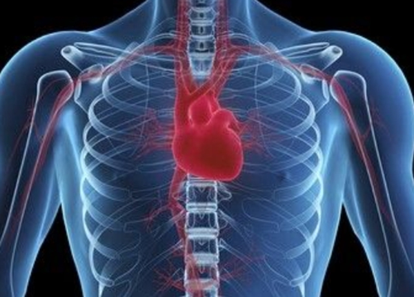 2019全国心血管外科医院排名top100