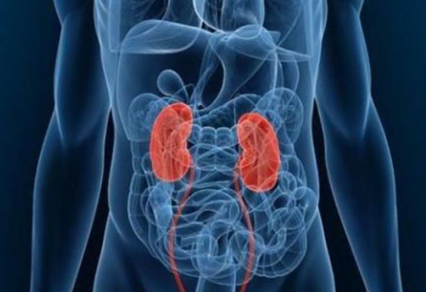 中国泌尿外科医院排名top100