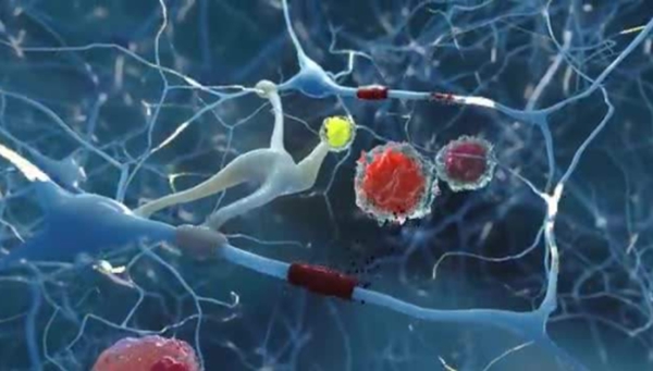 2019年全国精神病科医院排名top100