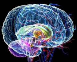 【全国十大神经病科医院】2019年全国神经病科医院排名top100