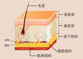 【全国十大皮肤病科医院】2019全国皮肤病科医院排名top100