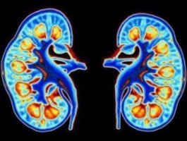 中国十大肾脏病学医院排名,肾脏病学最好的医院top100