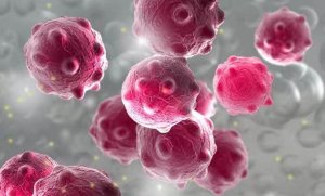 传染病科哪个医院好?全国传染病医院排名top100