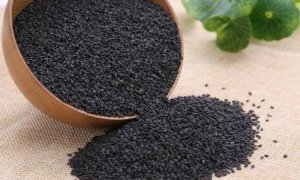 护肾三大宝食物 黑芝麻/海参/菟丝子