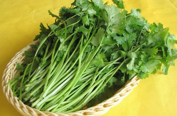 十大杀精食物排行 豆腐大蒜上榜，芹菜一定要少吃