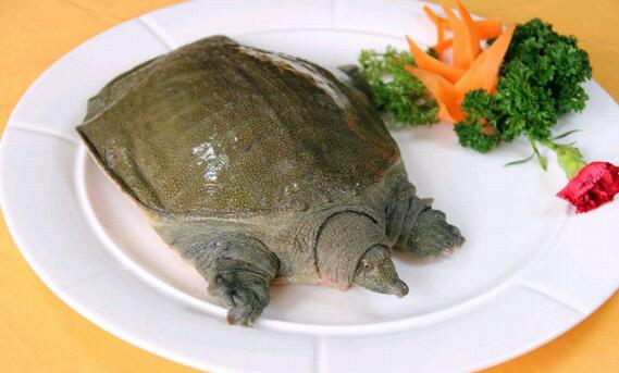 女人养肾最佳10食物 栗子和银耳上榜，女性一定要多吃