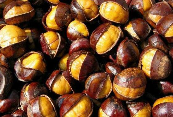 女人养肾最佳10食物 栗子和银耳上榜，女性一定要多吃