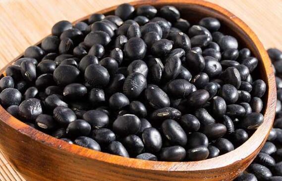 补肾食物排行榜10强 男补肾壮阳的最佳食物是哪些