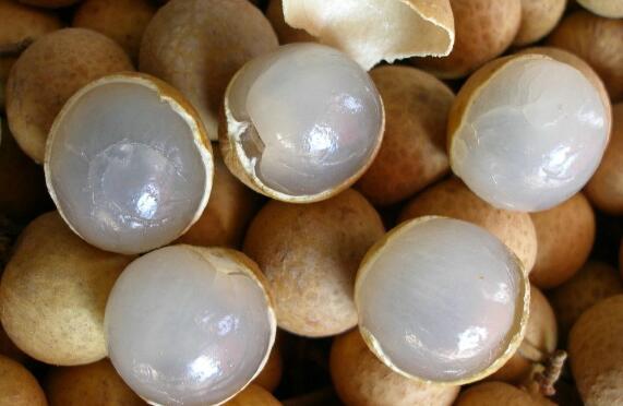 十大补肾水果排名 补肾的水果有哪些