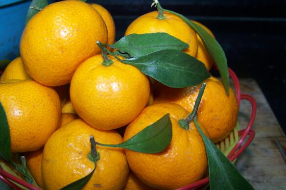 十大补肾水果排名 补肾的水果有哪些