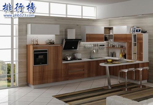 橱柜十大品牌排行榜 中国最好的橱柜品牌是什么？