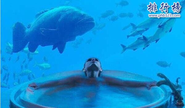 迪拜水下酒店,与鱼共眠一晚3.6万(世界唯一十星级酒店)