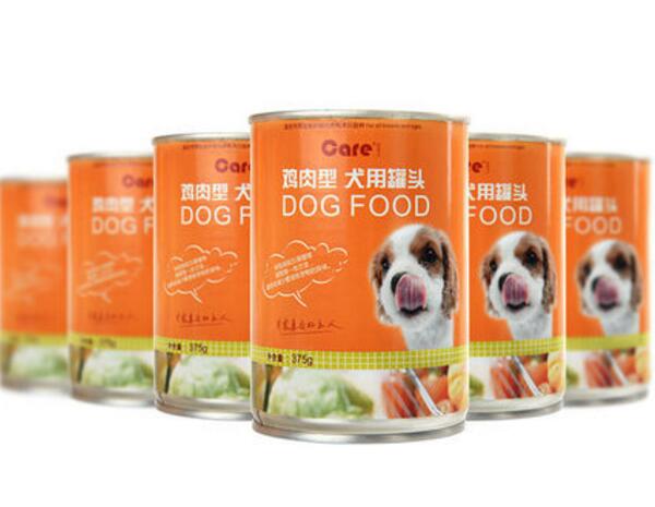 十大狗湿粮排行榜，全心守护爱犬健康！