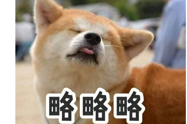 为什么养秋田犬的人少？16个不能养秋田的理由