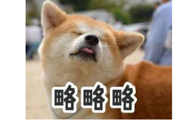 柴犬智商排名 柴犬智商排名第几