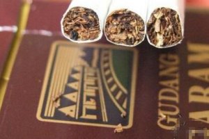 GUDANG GARAM丁香烟多少钱,印尼盐仓香烟价格排行榜(1种)