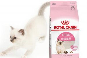 「推荐」2017猫粮品牌排行榜,猫粮什么牌子好