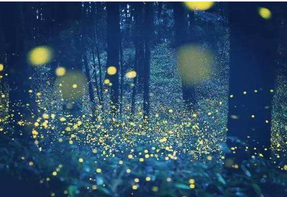 2018抖音最火儿歌，盘点抖音最好听的儿童歌曲 