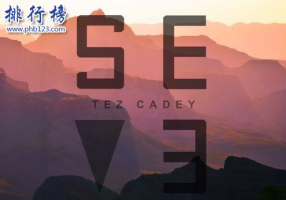 抖音最火的电音bgm有哪些？抖音最火的电音纯音乐排行榜