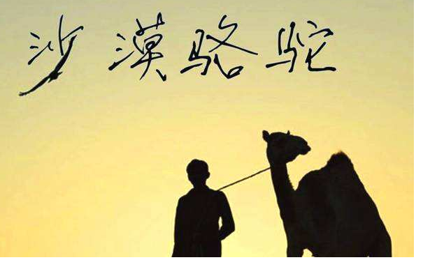 2018最火十大歌曲，最近比较火的歌每一首都特别好听