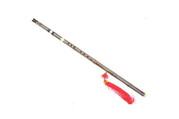 十大最简单的自学乐器，最易自学的乐器有哪些？