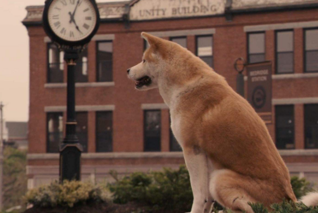 十大最经典剧情的电影 高分好评佳作，每一部都值得深思