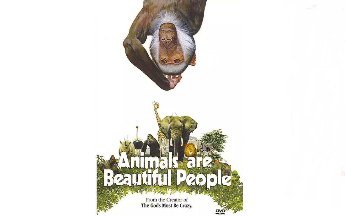 北美十大纪录电影排行榜 记录不一样的真实世界