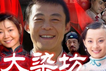 商战必看十部电视剧，大染坊/大清盐商上榜(生意人必看)