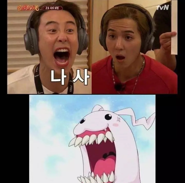 9.5分以上的综艺