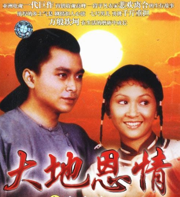 9.0分以上的港剧