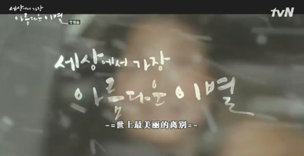 9.5分以上的韩剧排行榜