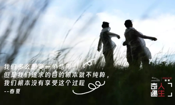 9.0分以上的综艺节目排行榜