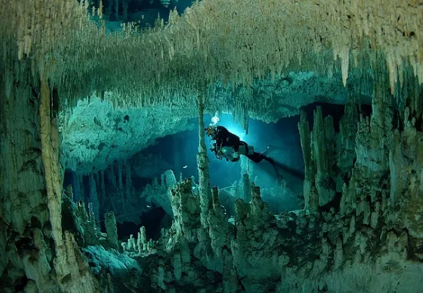 9.8分以上的纪录片排名