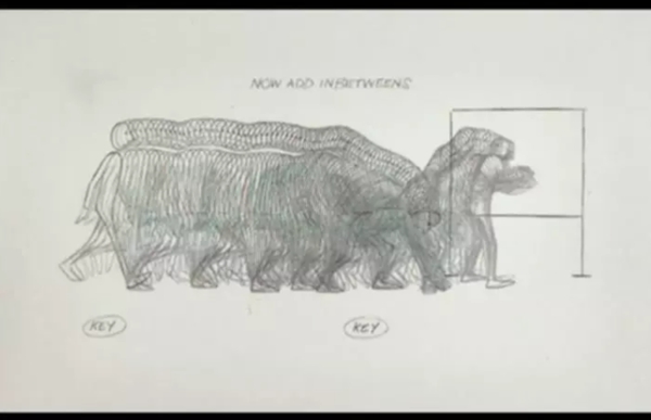 9.5分以上的纪录片排行榜