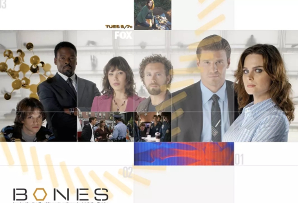 法医破案悬疑电视剧top10