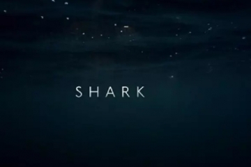 9.0分以上的纪录片排名 风味人间垫底，第四部要C位出道