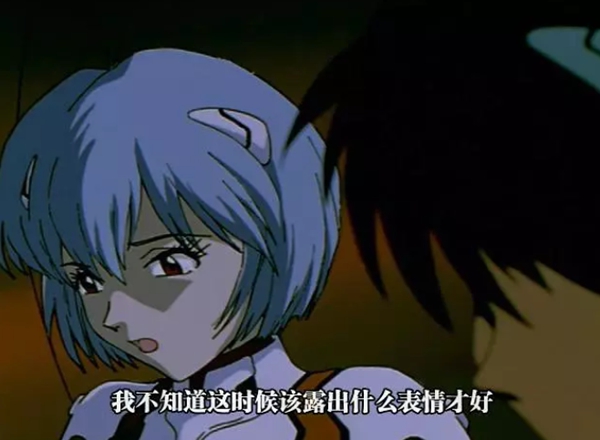 9.5分以上的动画排行榜