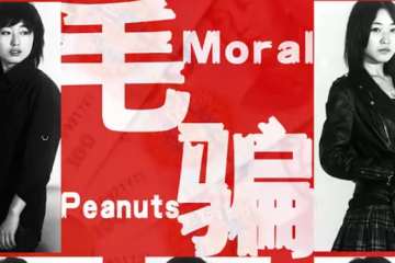 推理网剧排行榜前十名，精彩惊心还烧脑