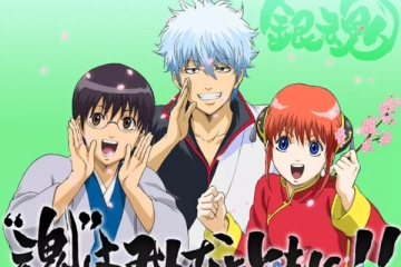 9.5分以上的日本动画，海贼王排名第五