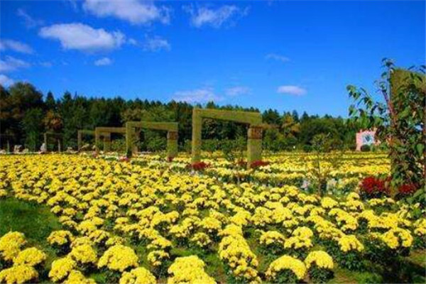 佳木斯有什么好玩的地方？盘点佳木斯好玩的地方排行榜