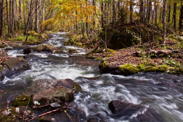 牡丹江有什么好玩的地方？盘点牡丹江好玩的地方排行榜