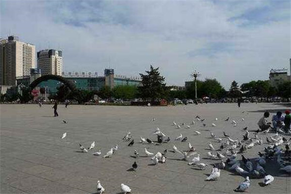 包头有什么好玩的地方？盘点包头好玩的地方排行榜