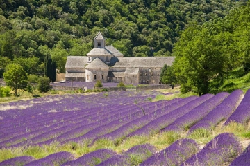 世界十大求婚圣地，浪漫求婚，就差你和你对象过去了